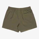Quiksilver Mens Everyday Solid Volley 15 Shorts In Green