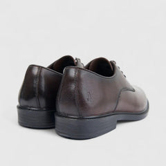 Hush Puppies Mens Harrington Leather Shoe In Brown
