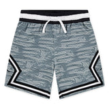 Jordan Boys Sports Diamond Shorts In Aviator Grey