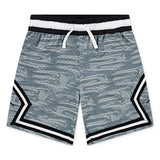 Jordan Boys Sports Diamond Shorts In Aviator Grey