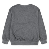 Jordan Brooklyn Kids French Terry Crew Sweatshirt In Carbon