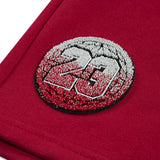 Jordan Boys Gametime Shorts In Red