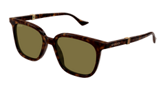Gucci Sunglasses Man Havana Green Gg1493S-002