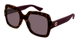 Gucci Sunglasses Womens In Havana Violet GG1337S-009
