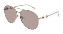 Gucci Sunglass Woman Silver Brown GG1698S-005