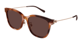 Gucci Sunglasses Womens In Havana Gold Brown GG1884SK-004