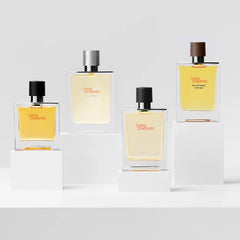 Hermes Fragrance Terre Edt 100Ml