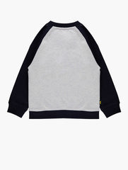 Jeep Boys Raglan Crew Sweater In Grey & Blue