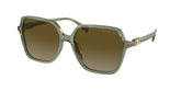Michael Kors Womens Sunglasses In Green