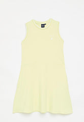 Polo Girls Zahara Embroidered Dress In Yellow