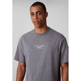Calvin Klein Mens Rlxd Fit Graphic T-Shirt In Grey Heather