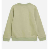 Soviet Zander Boys Crew Neck Sweat Top Light Sage