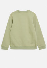 Soviet Zander Boys Crew Neck Sweat Top Light Sage