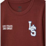 Levis Boys Spirit T-shirt In Fired Brick
