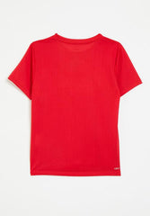 Nike Boys Dri-Fit Legend T-Shirt In Red