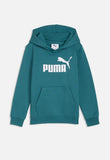 Puma Boys Essential No.1 Logo Hoodie In Emerald Green