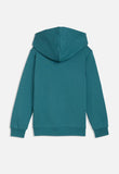 Puma Boys Essential No.1 Logo Hoodie In Emerald Green