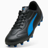 Puma Mens Vitoria II Soccer Shoes In Black