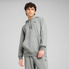 Puma Mens Essentials Fleece Hoodie In Grey