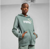 Puma Unisex Eseential 2 Color No.1 Logo Hoodie In Sage