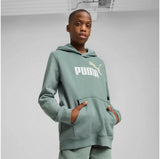 Puma Unisex Eseential 2 Color No.1 Logo Hoodie In Sage