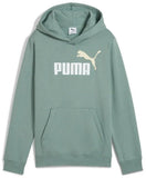 Puma Unisex Eseential 2 Color No.1 Logo Hoodie In Sage