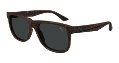 Puma Mens Havana Smoke PU0442S-003