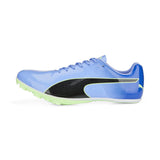 Puma Mens Evospeed Sprint 14 Running Shoes In Purple/Green/Black