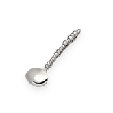 Carrol Boyes Sugar Ladle Wound Up