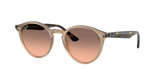 Ray-Ban Womens Sunglasses In Beige