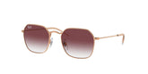 Ray-Ban Junior Sunglasses In Gold