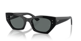 Ray-Ban Zena Unisex Sunglasses In Black