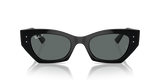 Ray-Ban Zena Unisex Sunglasses In Black