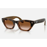Ray-Ban Meta Zena Smart Glasses – Gradient Brown, Havana (Pre Order)