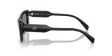 Miu Miu Womens Sunglasses In Black