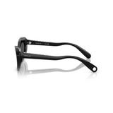 Swarovski Womens Narrow Oval Sunglasses In Black
