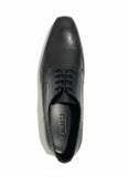Cavalli Mens Formal Shoes In Black