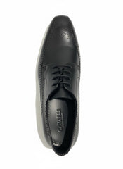Cavalli Mens Formal Shoes In Black