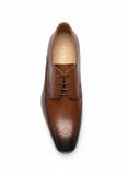 Cavalli Mens Formal Shoes In Brown