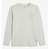 Guess Boys Long Sleeve T-shirt In Light Grey