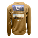 Vialli Vj24Wt14 Grownner Sweatshirt Brown