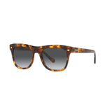 Vogue Womens Sunglasses In Brown Havana