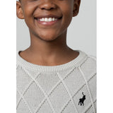 Polo Boys Argyle Jersey In Light Grey/Navy