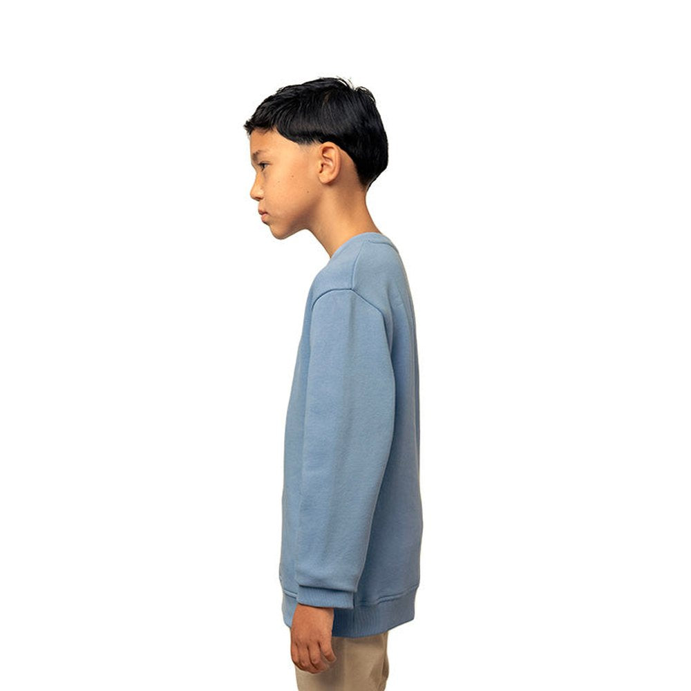 Polo Boys Adrian Sweatshirt In Blue