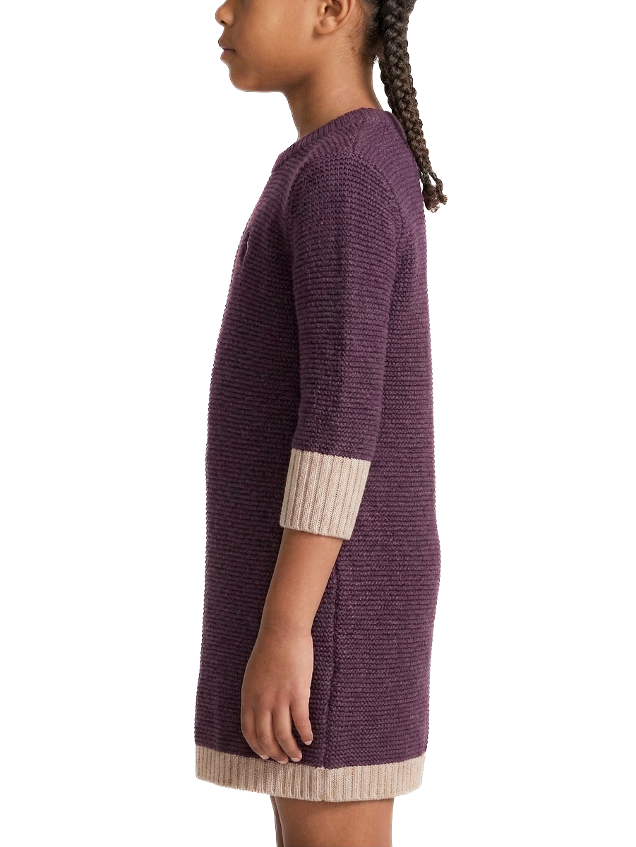 Polo Girls Addison Knitted Dress In Plum