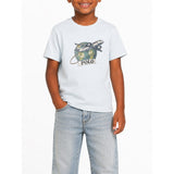 Polo Boys Brett Travel Printed Short Sleeves T-Shirt In Ice Blue