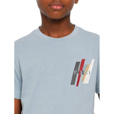 Polo Boys Ivan Printed Short Sleeves T-Shirt In Dusty Blue