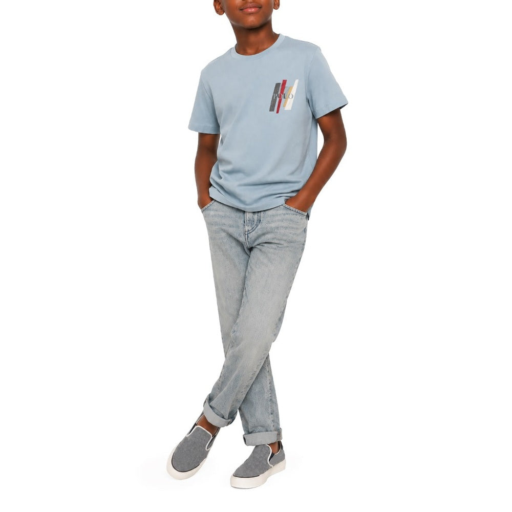 Polo Boys Ivan Printed Short Sleeves T-Shirt In Dusty Blue
