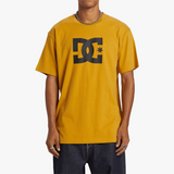 DC Shoes Star Short Sleeve T-Shirt In Black Tinsel