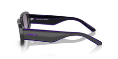 Arnette The Kidd Unisex Sunglasses In Grey